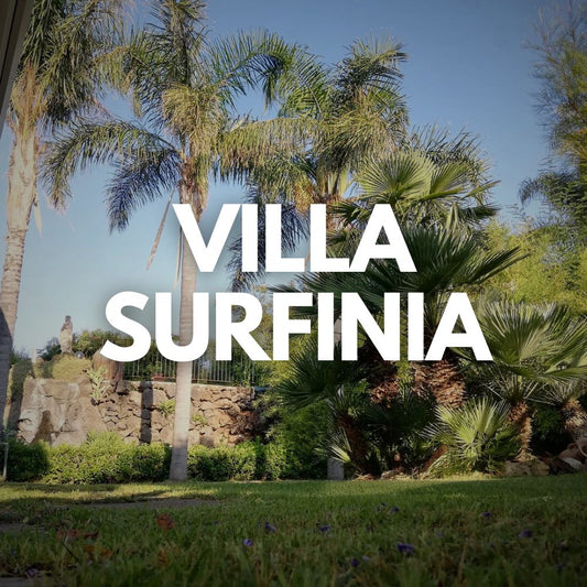 Villa Surfinia
